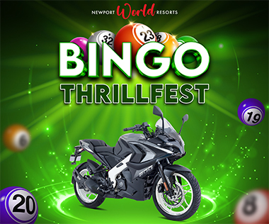 bingo-thrillfest