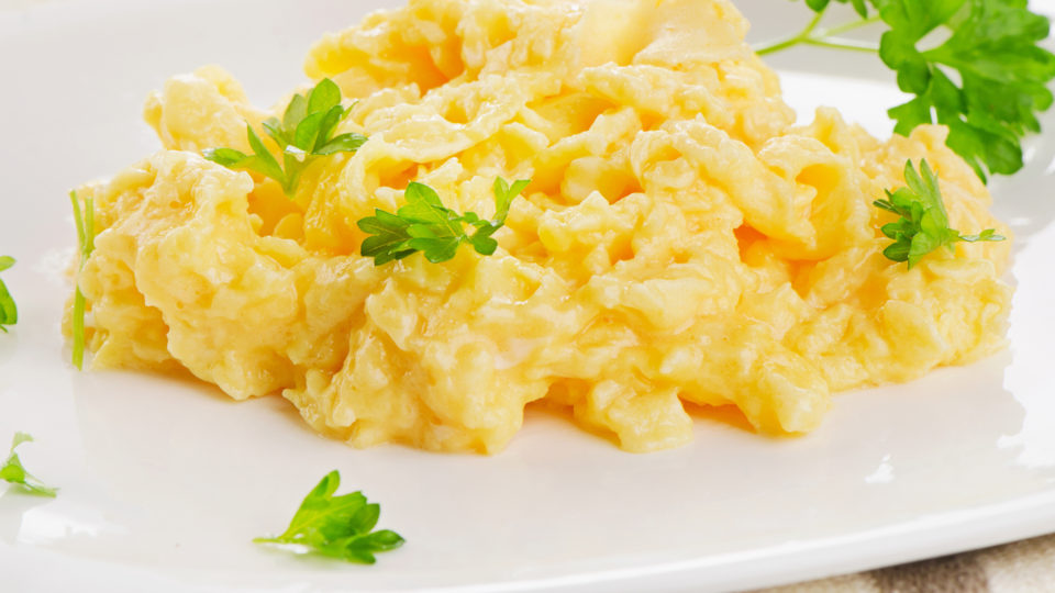Scrambled Egg